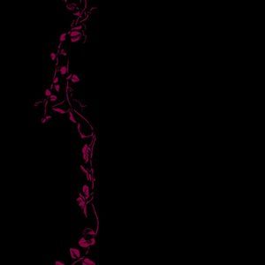 Meet your Posher, Krmen